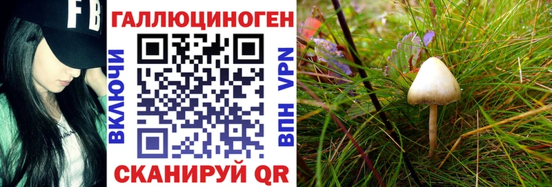 Галлюциногенные грибы Psilocybine cubensis  Купить  Одинцово 